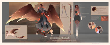Ahvi reference sheet