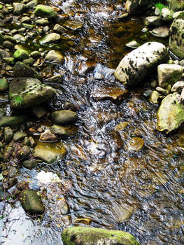 Babbling Brook