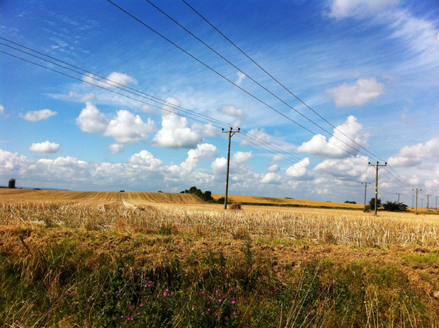 Across the Fields