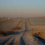 Winter Sunrise Stock