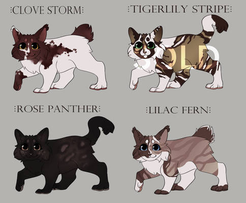 Flower cat adopts(OPEN)