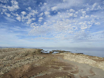 ANTELOPE ISLAND-Dead Shoreline