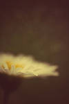 Yearning by shadowart96