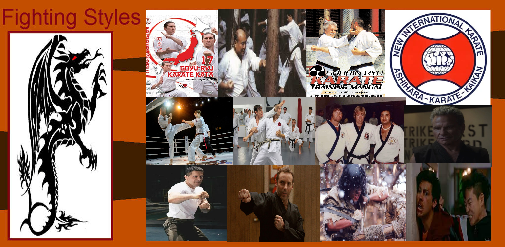 Martial Arts And Karate Fighting Styles For Women