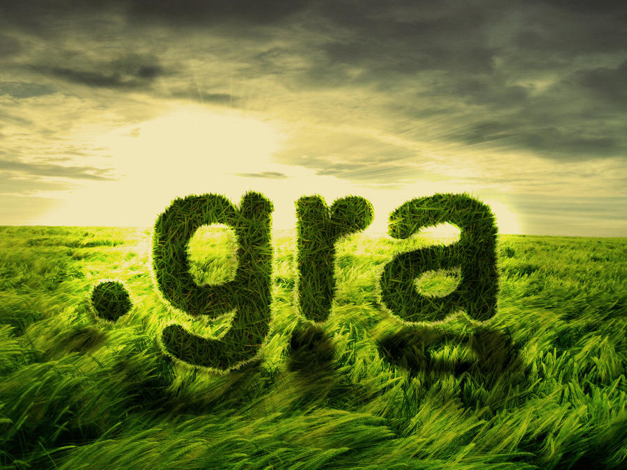 .gra by PaulPeres on DeviantArt