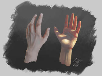 Hand and light study