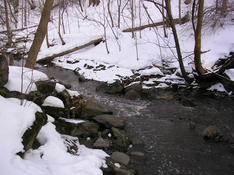 Stream in Snow