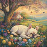 Spring Dreams and Soft Paws