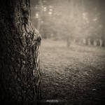 .: s e r e n i t y :. by oguzceng