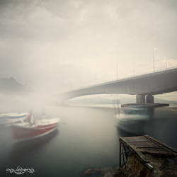 .: Bridge To Fog :.