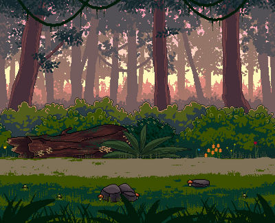 [C] Forest in the Early Morning