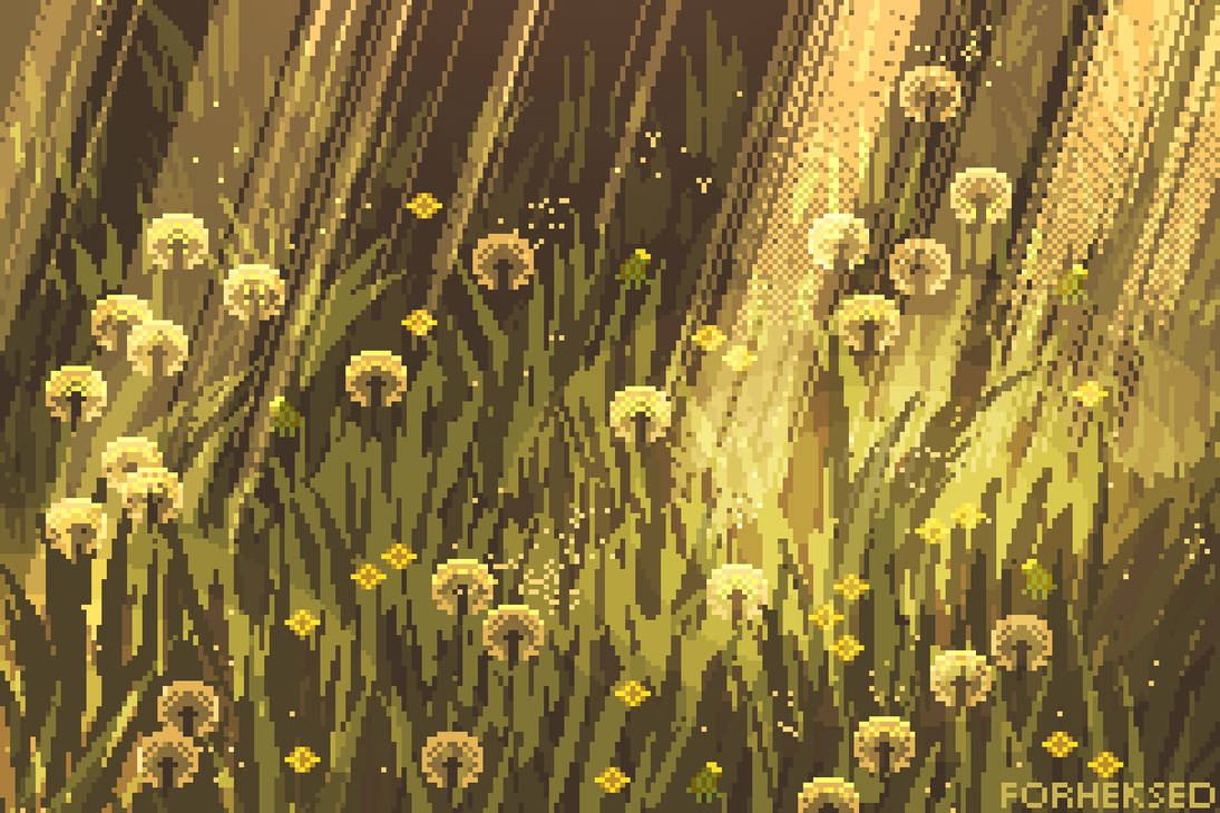 Dandelions