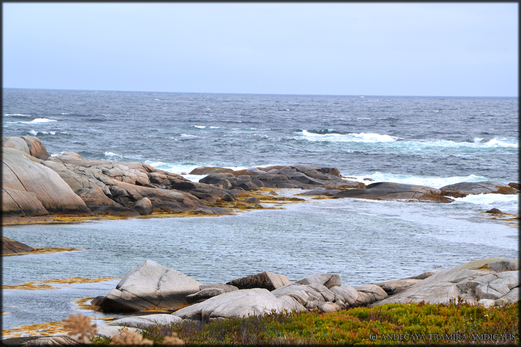 Autumn Coast II