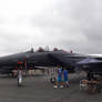 F-15E Strike Eagle (3)