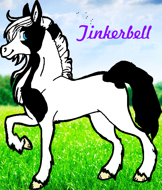 Tinkerbell (My new horse)