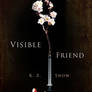 Cover art: Visible Friend