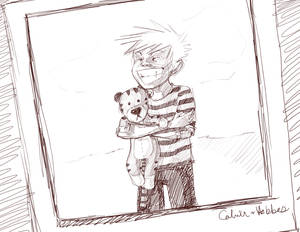 calvin and hobbes