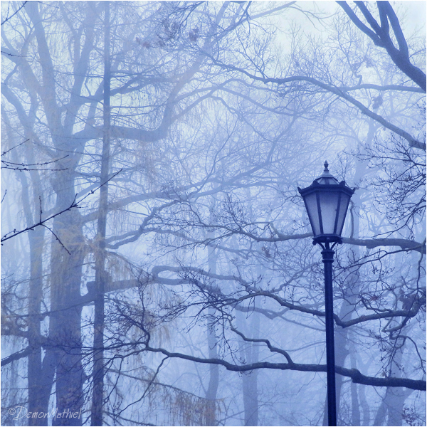 Misty Blue Day