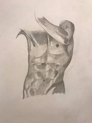 Male torso practice 