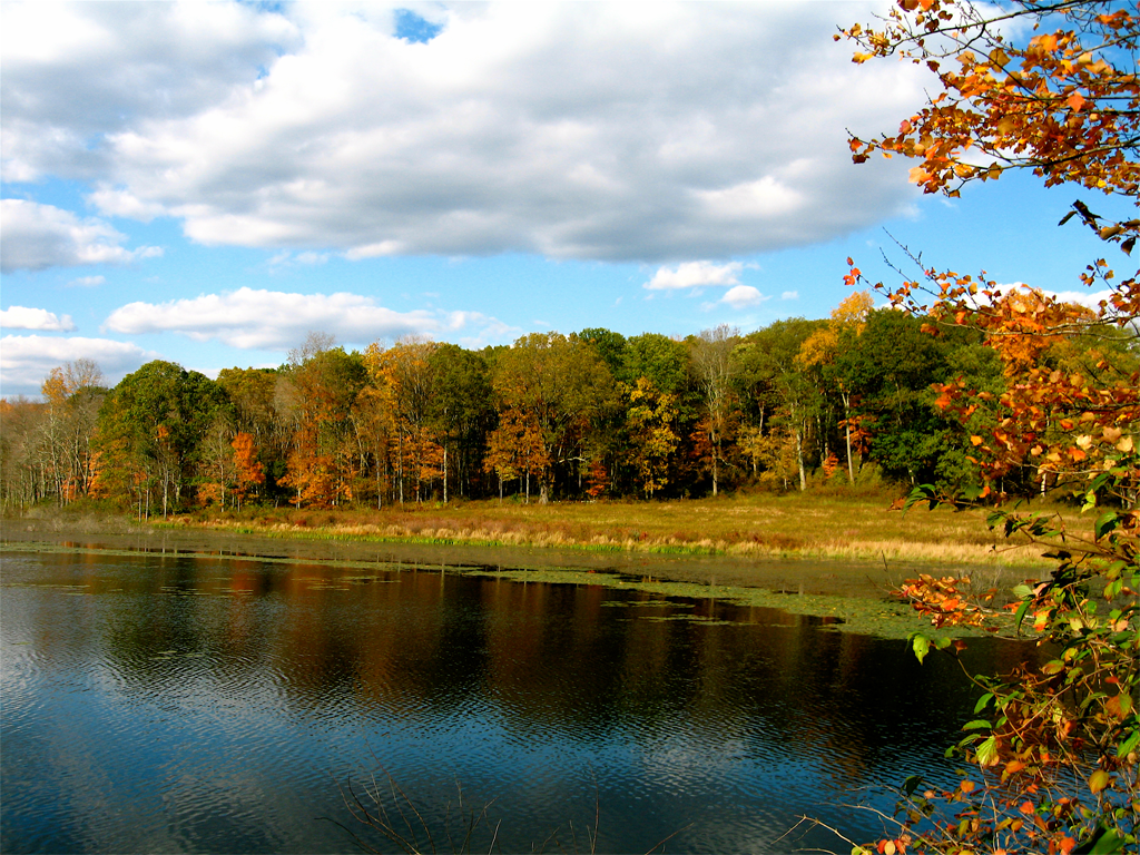 Colors of Autumn I