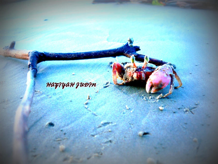 how did mrs crab die