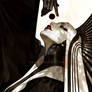 Divine Eclipse