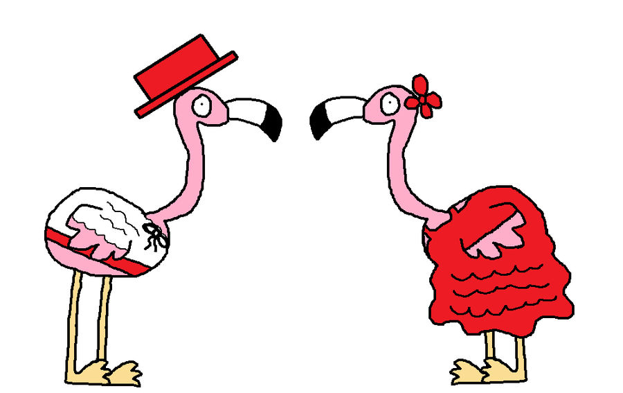 Flamenco Flamingos by jonguy45 on DeviantArt