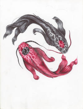 YinYang Koi