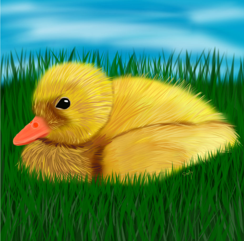 Ducky