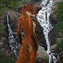 Waterfall Vixen -Rework-