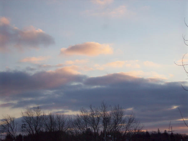 Pinks of Winters sky