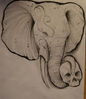 elephant drawing