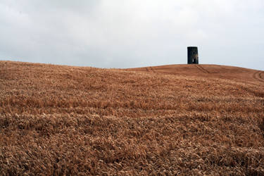 Field of Dreams