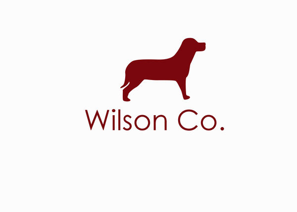 3rd Logo Design by smartyjones58 on DeviantArt