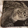 scratch board turtle