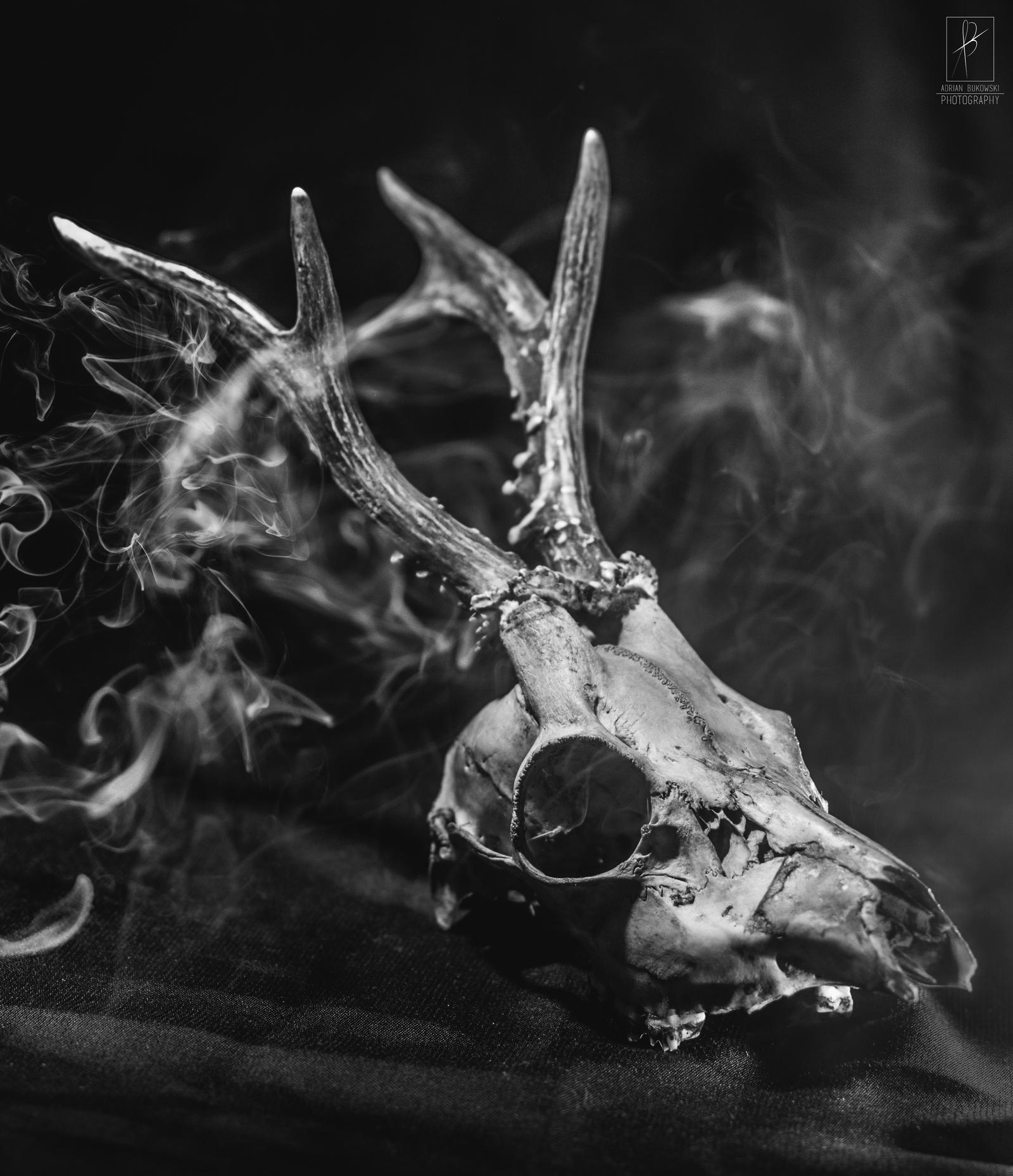 Bone and smoke