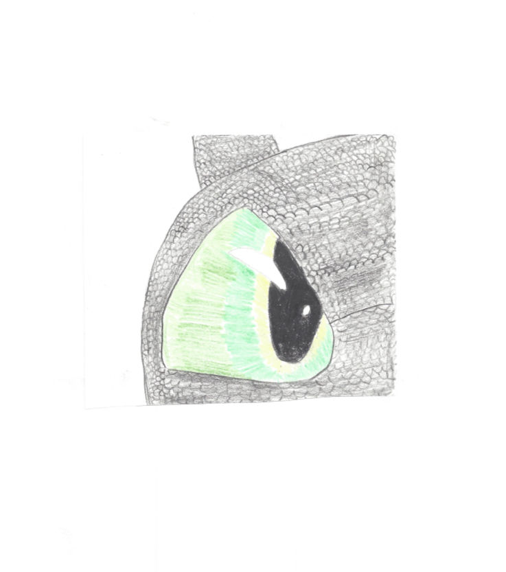 Toothless' Eye by DragonHaven42 on DeviantArt