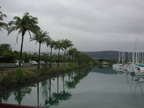 Port Douglas Shore