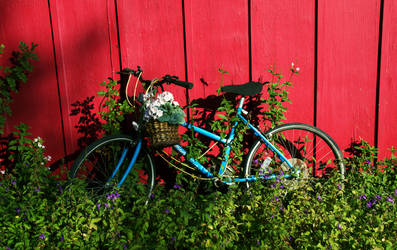 Georgetown,Colorado Bicycle