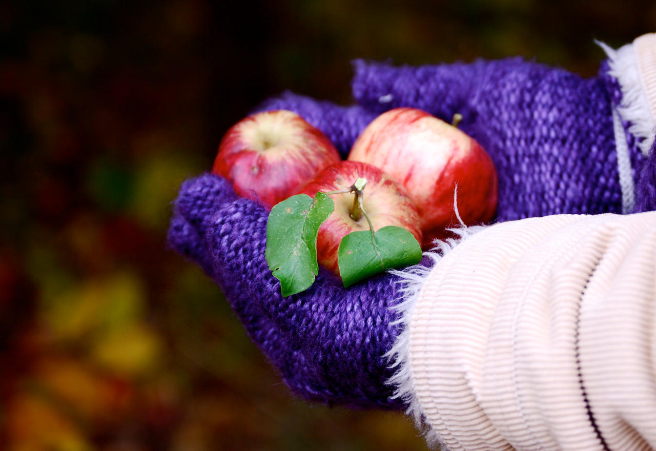 Scrumptious Apples