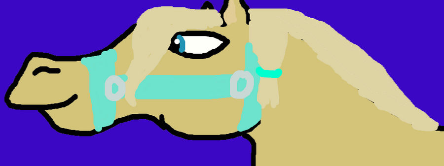 Arabian Palimino by kyleighS1 on DeviantArt