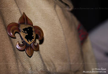 Scout's lily badge