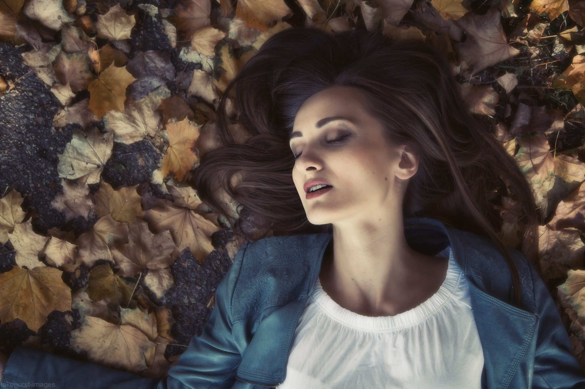 Autumn fall by lakehurst-images on DeviantArt