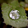 Water Droplets (1)