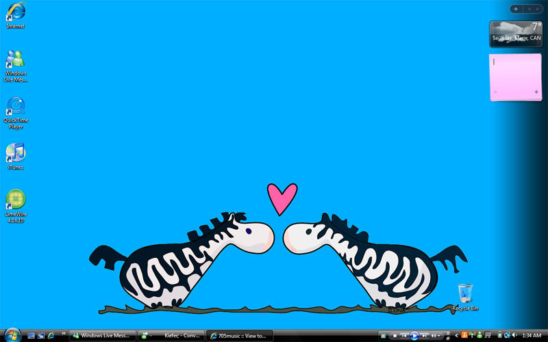 zebra love. desktop.