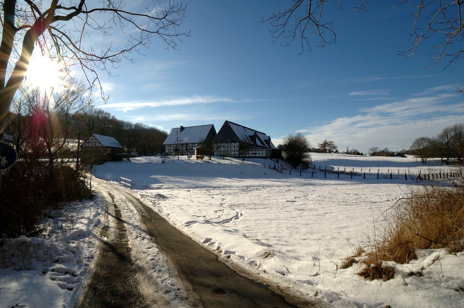 Winter Landscape