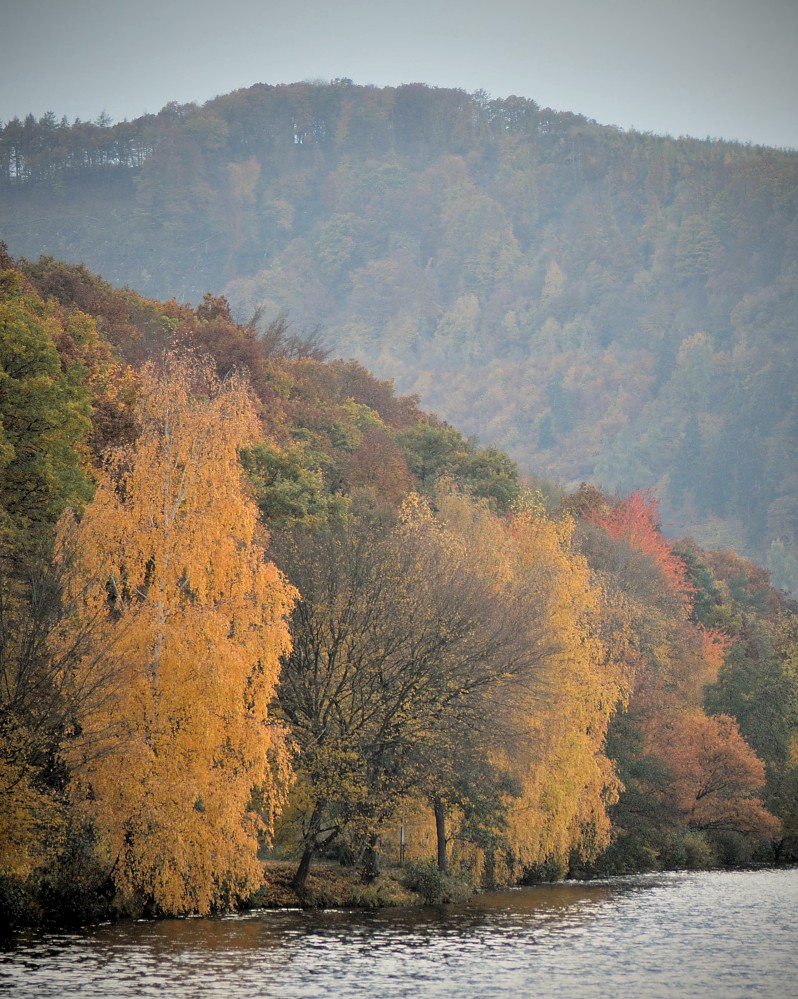 grey autumn