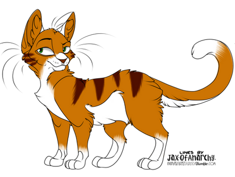 Explore The Best Riskyracoon Art Deviantart Explore The Best Riskyracoon Art Deviantart