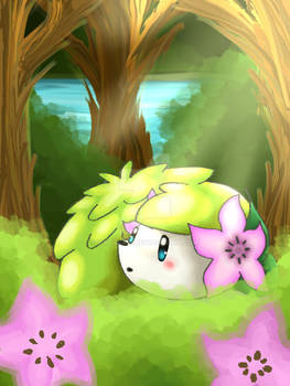 Pokemon Shaymin