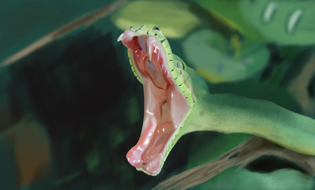 Angry Snake by Noahrel on DeviantArt